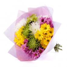 Purple, Yellow and White Chrysantimums Purple, Yellow and White Chrysantimums