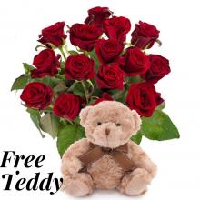 Red Roses and a Free Teddy Bear Red Roses and a Free Teddy Bear